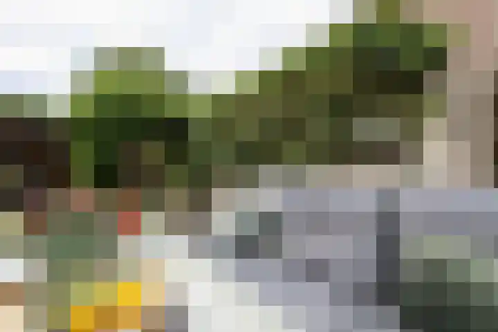 Kruisbooglaan 39 Oostvoorne thumbnail 52