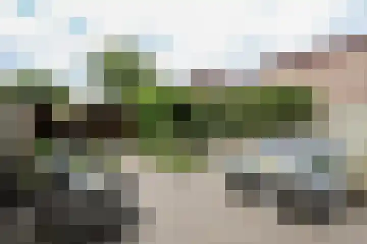 Kruisbooglaan 39 Oostvoorne thumbnail 53