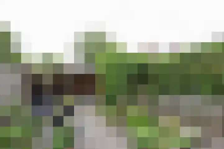 Kruisbooglaan 39 Oostvoorne thumbnail 55