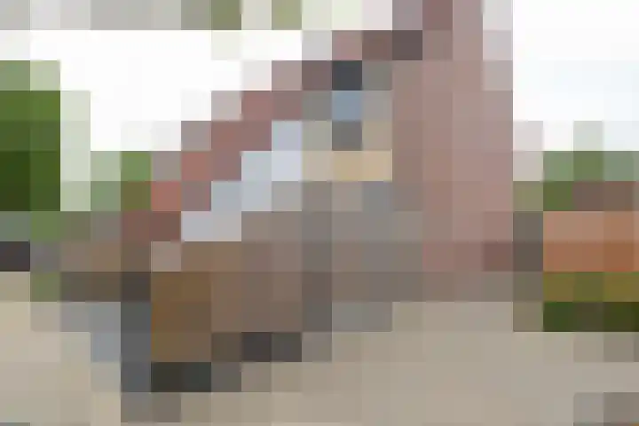 Kruisbooglaan 39 Oostvoorne thumbnail 6