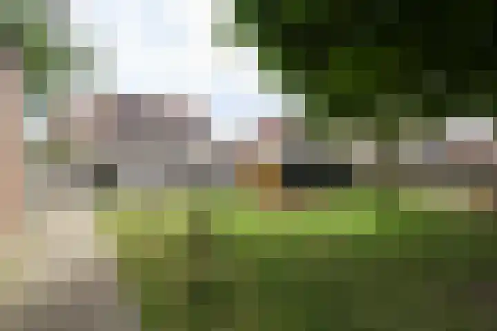 Kruisbooglaan 39 Oostvoorne thumbnail 60