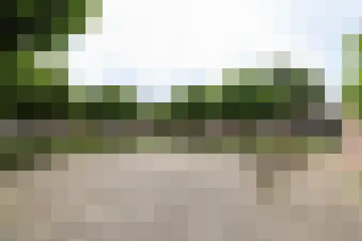 Kruisbooglaan 39 Oostvoorne thumbnail 61