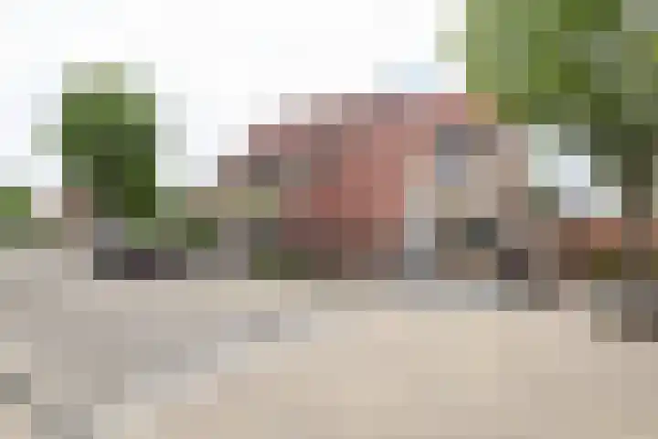 Kruisbooglaan 39 Oostvoorne thumbnail 7