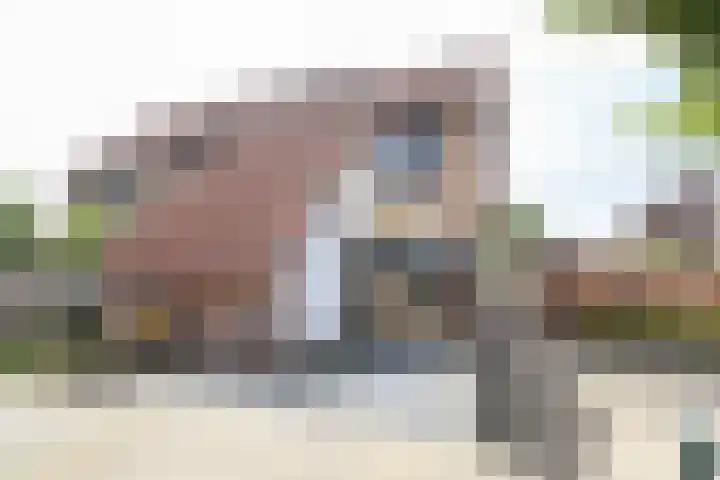 Kruisbooglaan 39 Oostvoorne thumbnail 9