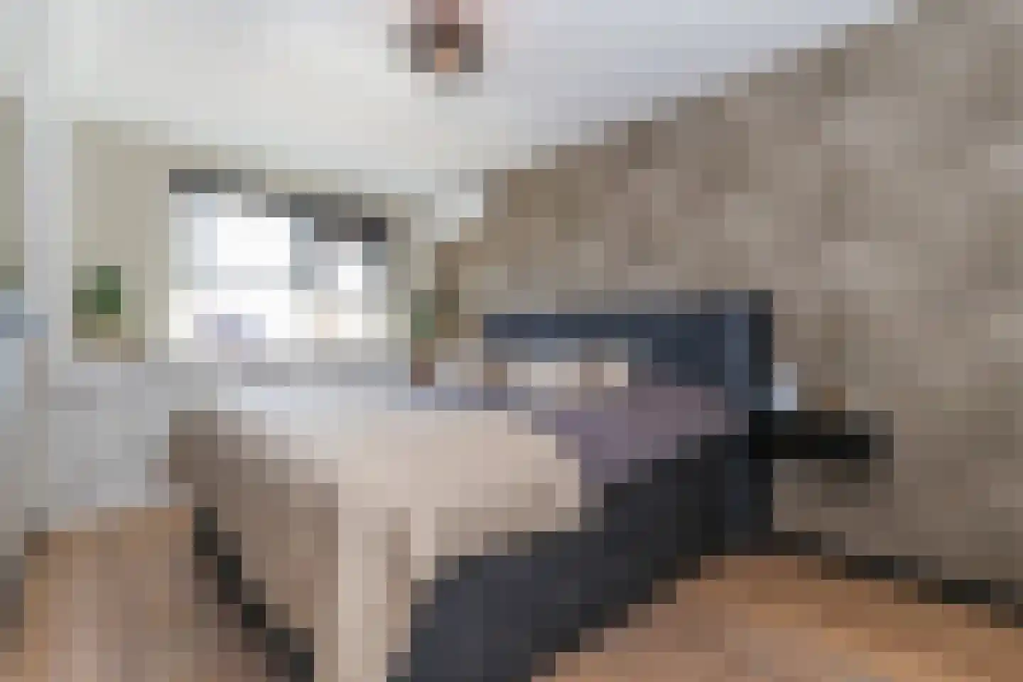 Kruisbooglaan 72 Oostvoorne thumbnail 41