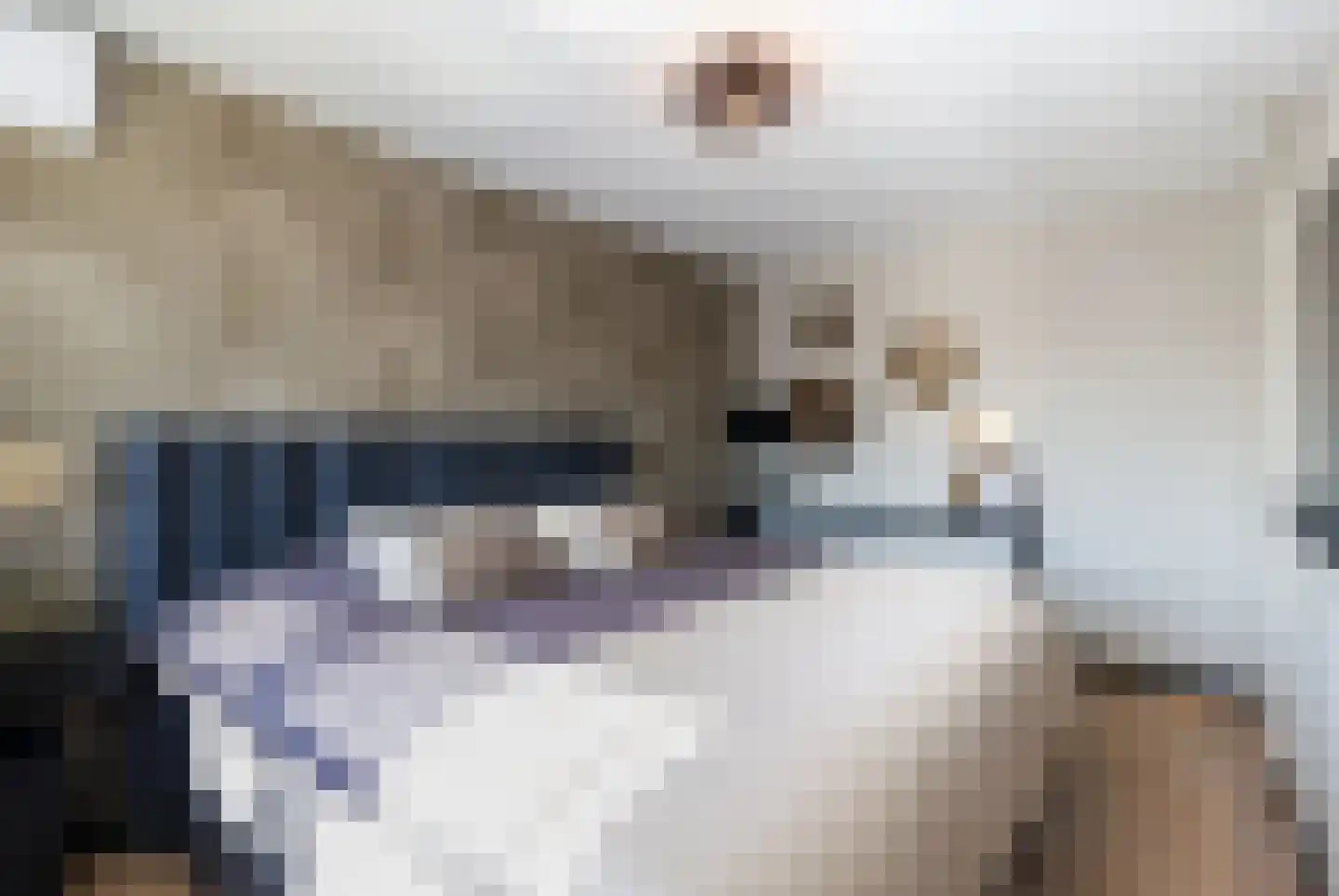 Kruisbooglaan 72 Oostvoorne thumbnail 42