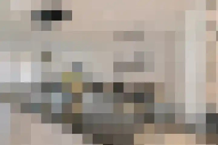 Kruisboogruwe 21 Maastricht thumbnail 9