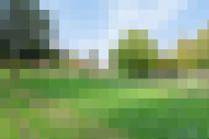 Kruisboogruwe 21 Maastricht thumbnail 20
