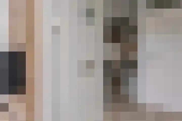 Kruisboogruwe 21 Maastricht thumbnail 4