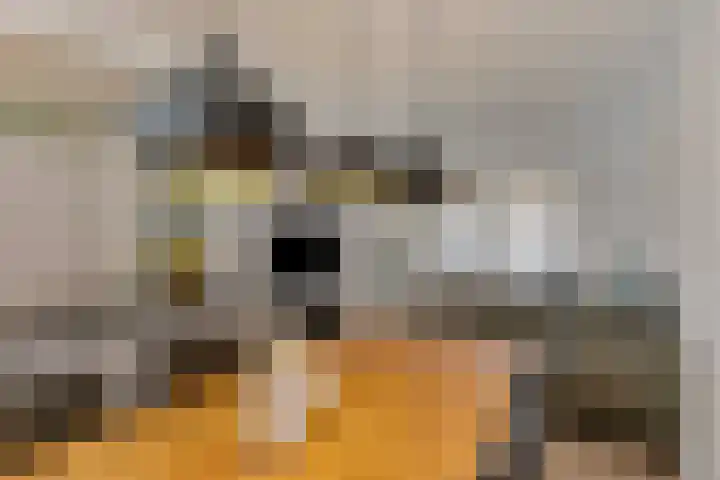 Kruisboogruwe 21 Maastricht thumbnail 8