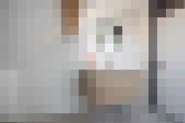 Kruisboogstraat 4 Haaren thumbnail 15