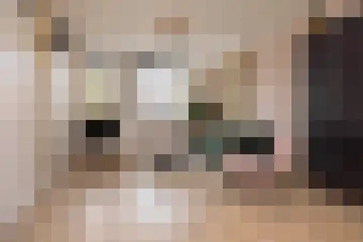 Kruisboogstraat 4 Haaren thumbnail 4