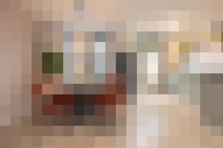Kruisboogstraat 4 Haaren thumbnail 5