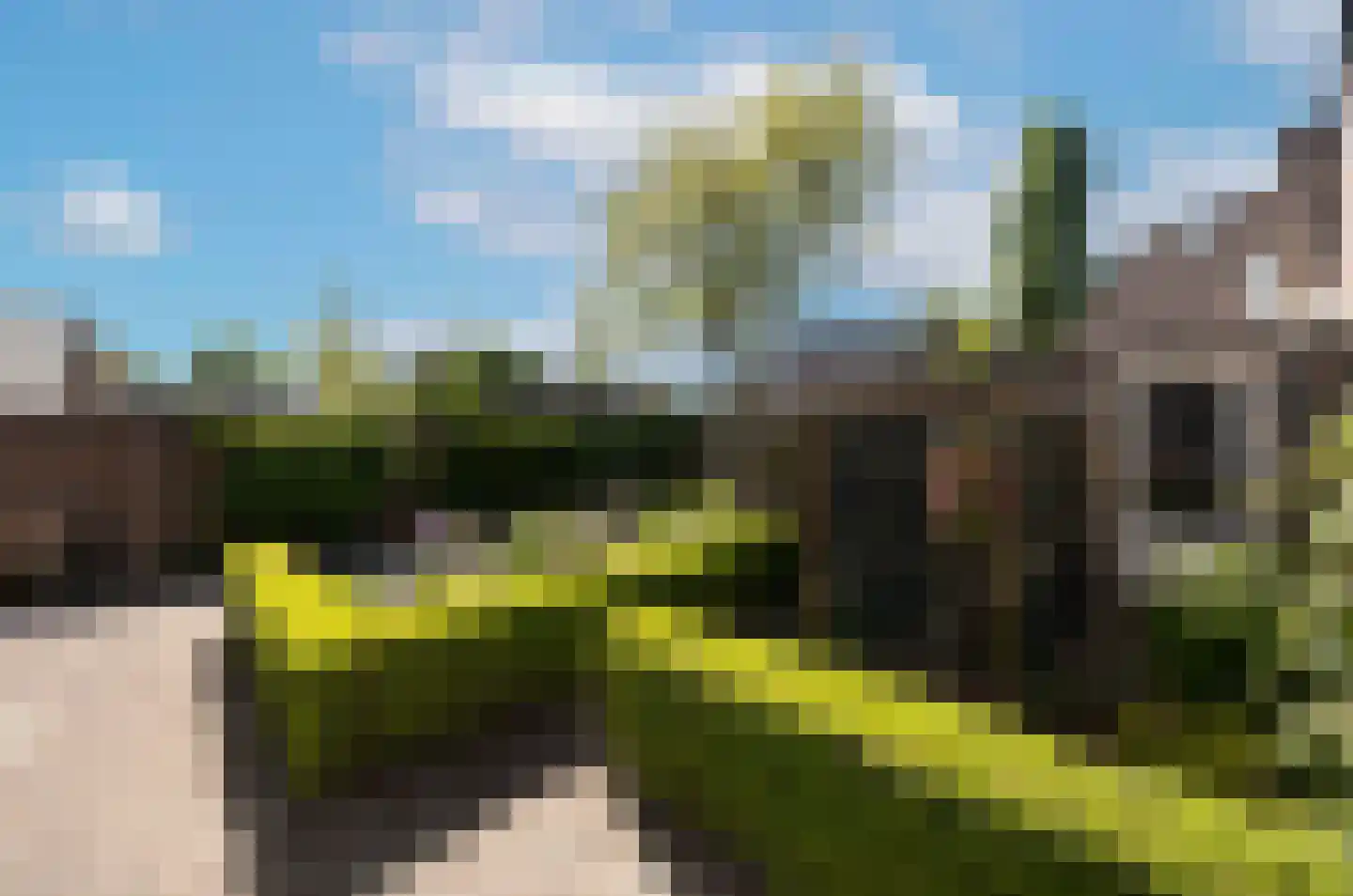 Kruisboogstraat 53 Haaren thumbnail 27
