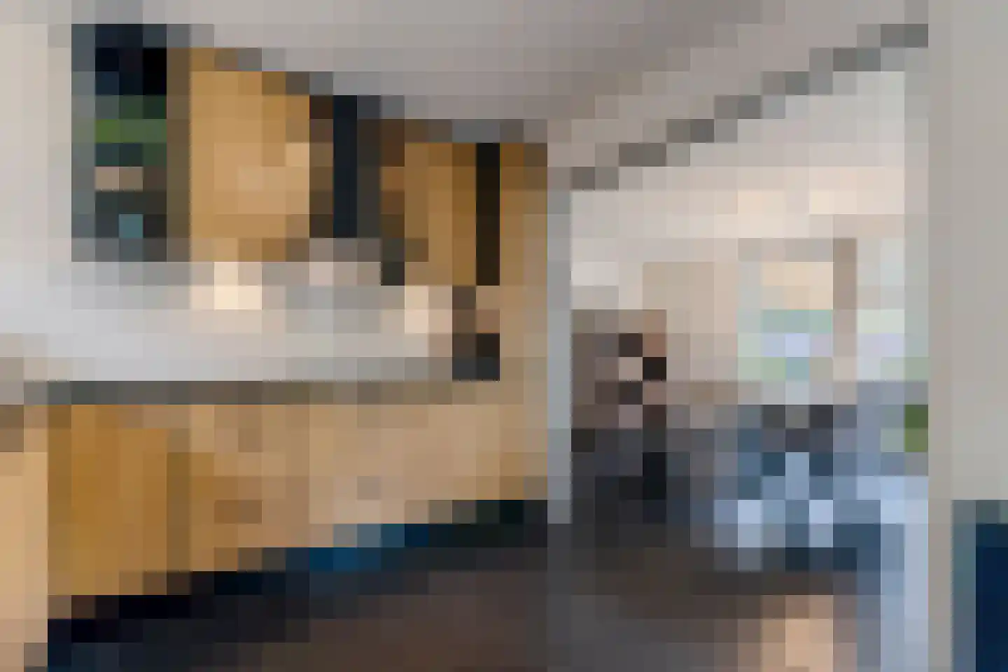 Kruisboogstraat 8 Valkenswaard thumbnail 11