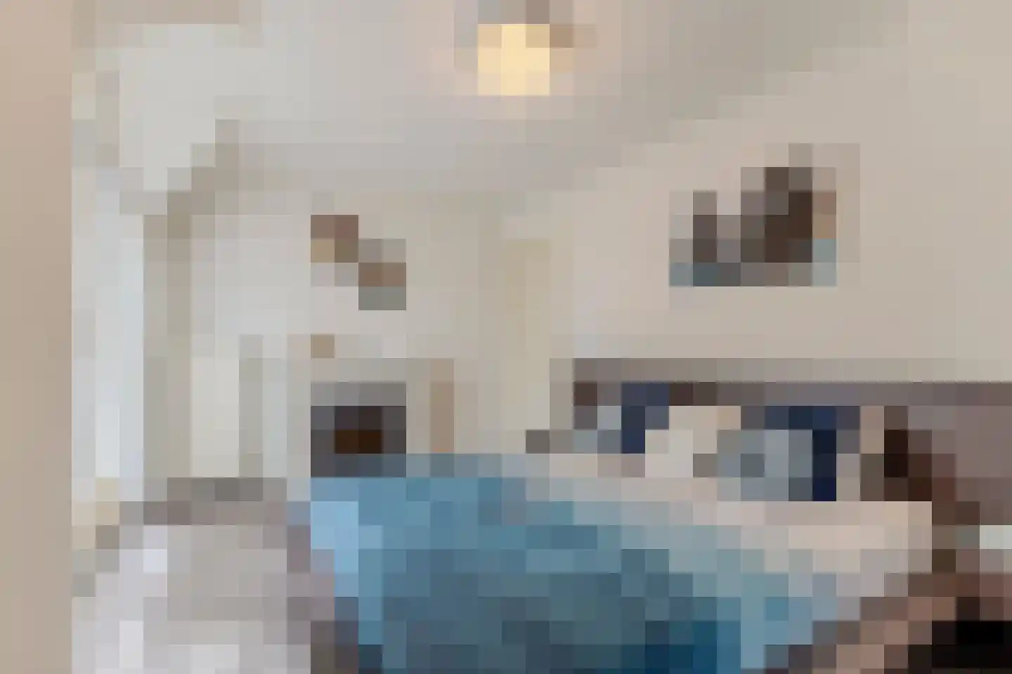 Kruisboogstraat 8 Valkenswaard thumbnail 17