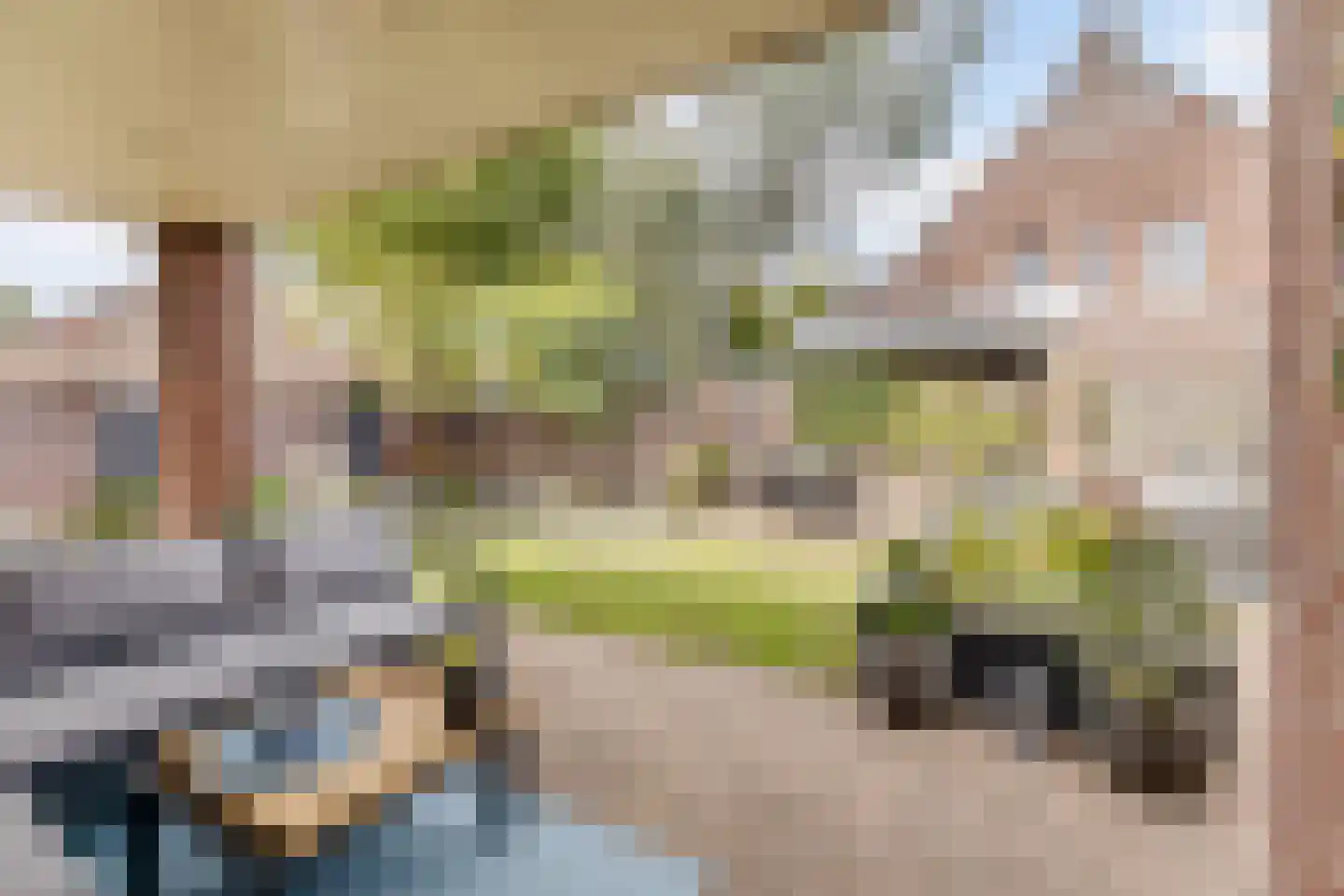 Kruisboogstraat 8 Valkenswaard thumbnail 27