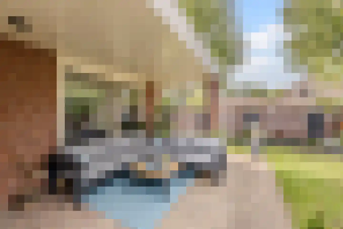 Kruisboogstraat 8 Valkenswaard thumbnail 29