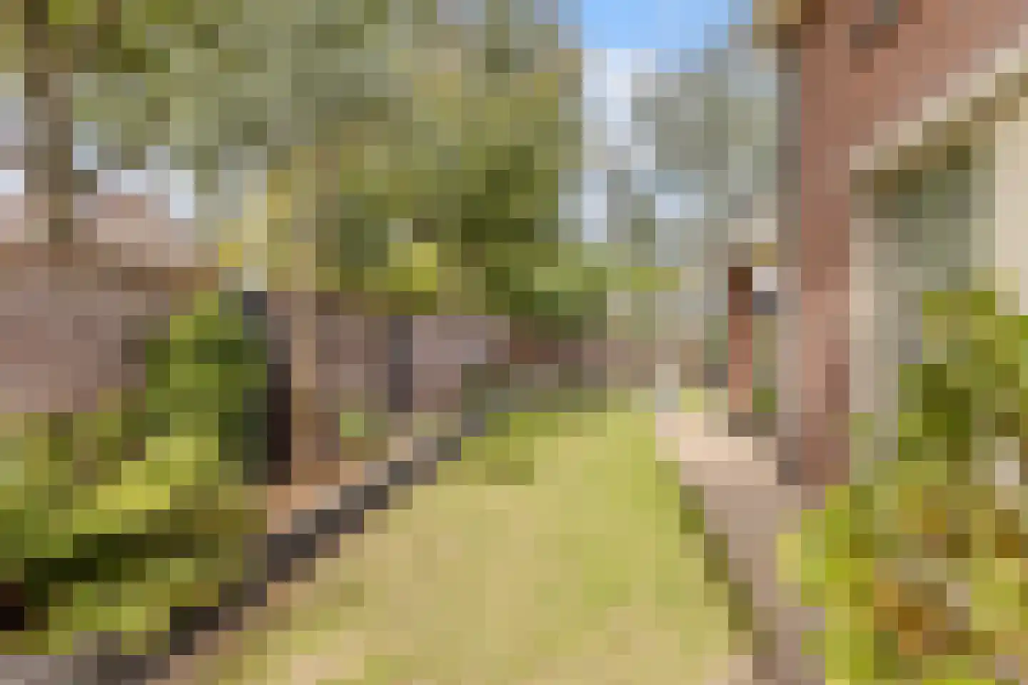 Kruisboogstraat 8 Valkenswaard thumbnail 31