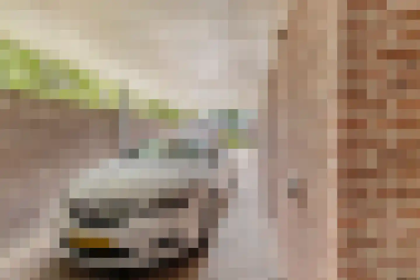Kruisboogstraat 8 Valkenswaard thumbnail 32