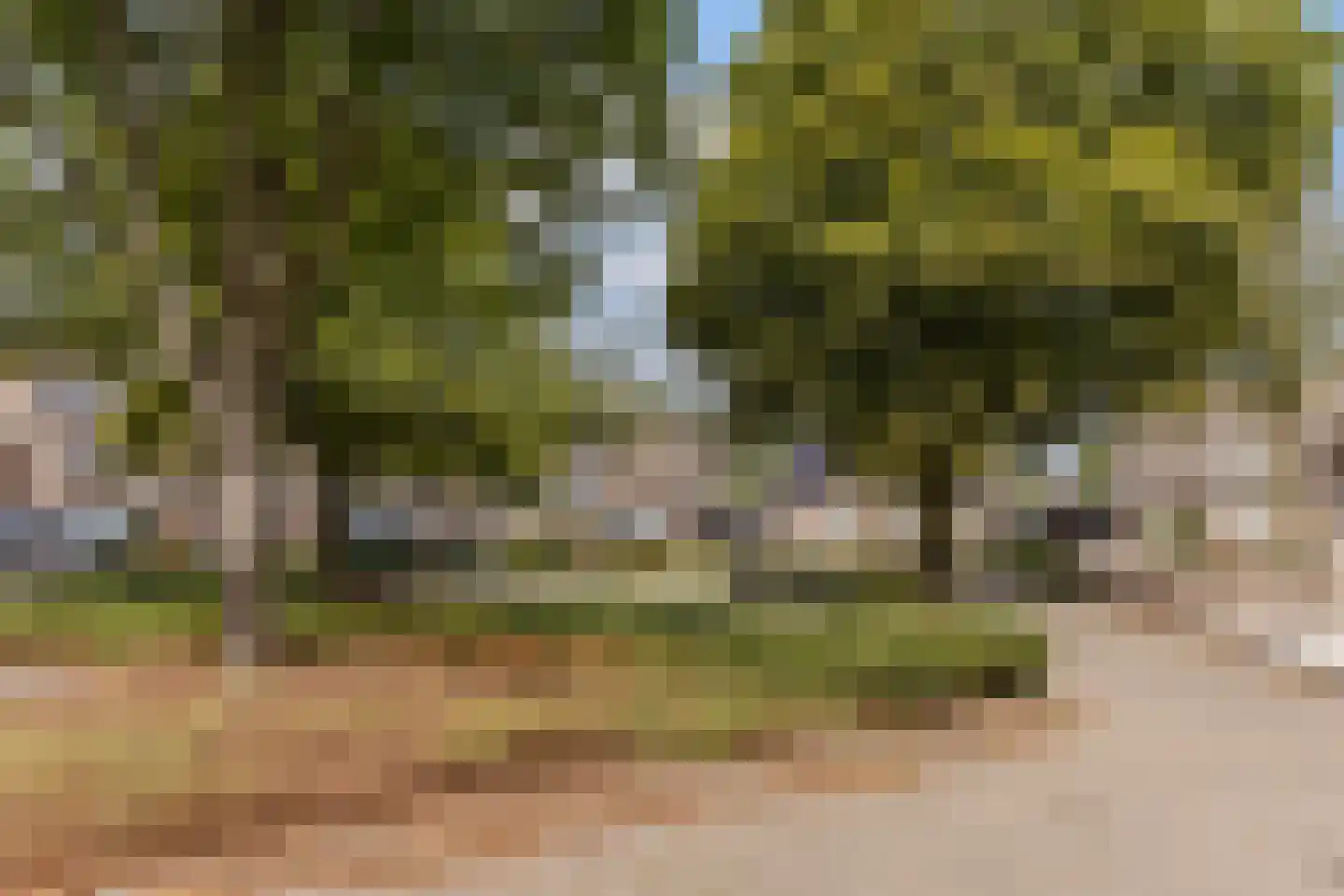 Kruisboogstraat 8 Valkenswaard thumbnail 34