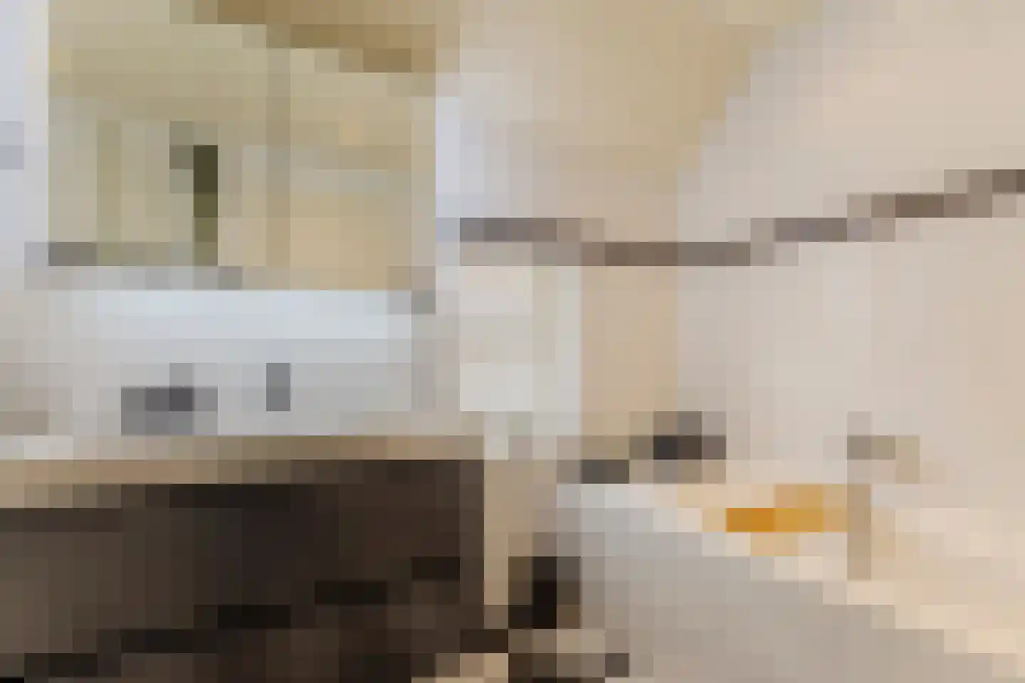 Kruisboogstraat 8 Valkenswaard thumbnail 4