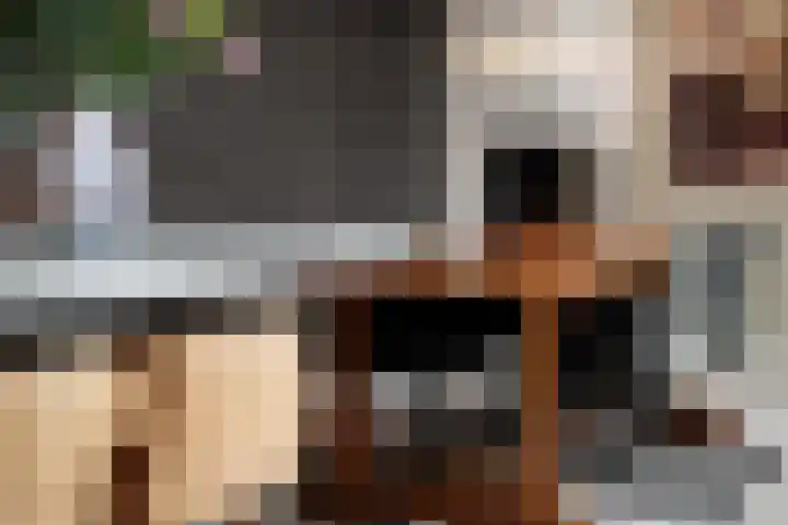 Kruisbroedershof 23 's-Hertogenbosch thumbnail 12