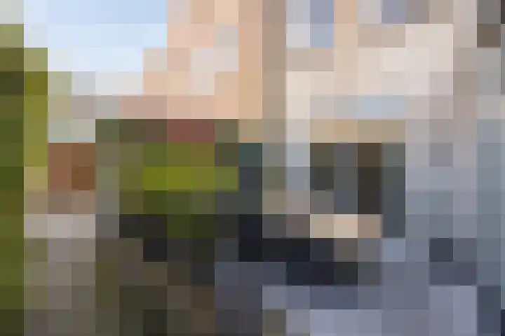 Kruisbroedershof 23 's-Hertogenbosch thumbnail 20