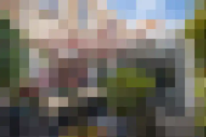 Kruisbroedershof 23 's-Hertogenbosch thumbnail 21