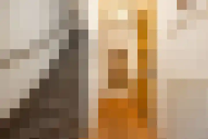 Kruisbroedershof 23 's-Hertogenbosch thumbnail 22