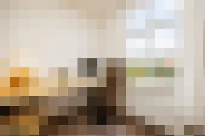Kruisbroedershof 23 's-Hertogenbosch thumbnail 23