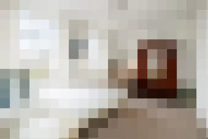 Kruisbroedershof 23 's-Hertogenbosch thumbnail 24