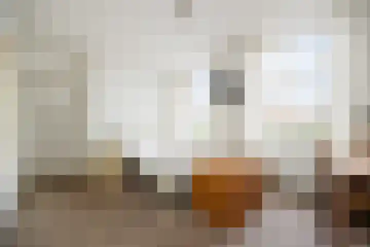 Kruisbroedershof 23 's-Hertogenbosch thumbnail 25