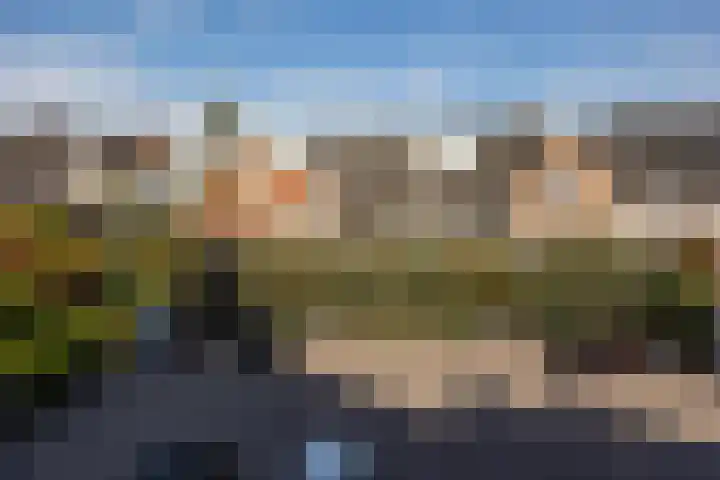 Kruisbroedershof 23 's-Hertogenbosch thumbnail 27