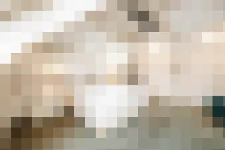 Kruisbroedershof 23 's-Hertogenbosch thumbnail 33