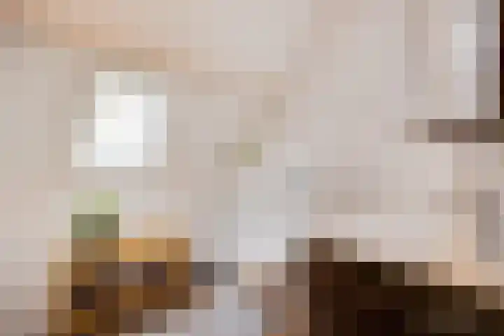 Kruisbroedershof 23 's-Hertogenbosch thumbnail 36