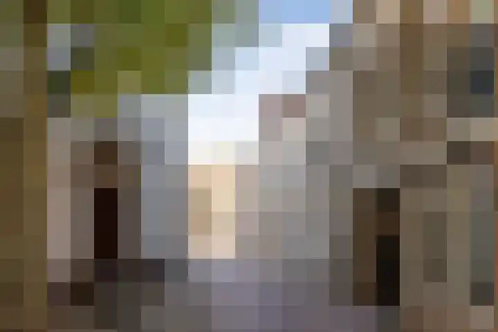 Kruisbroedershof 23 's-Hertogenbosch thumbnail 40