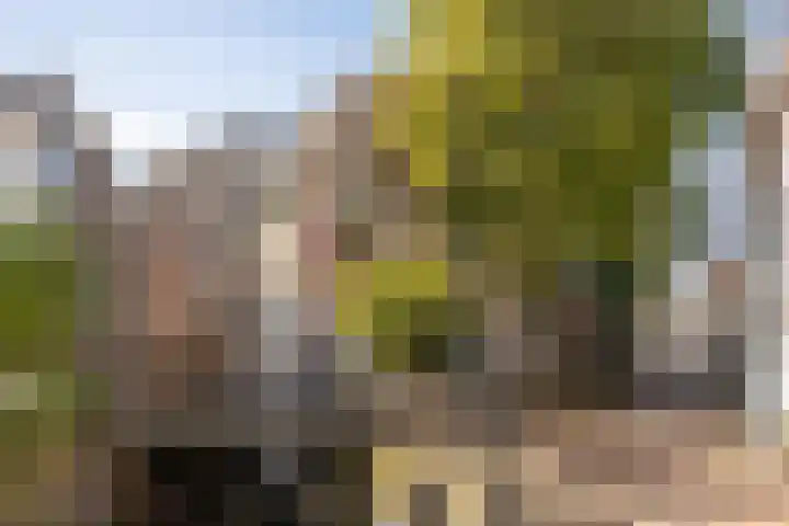 Kruisbroedershof 23 's-Hertogenbosch thumbnail 42