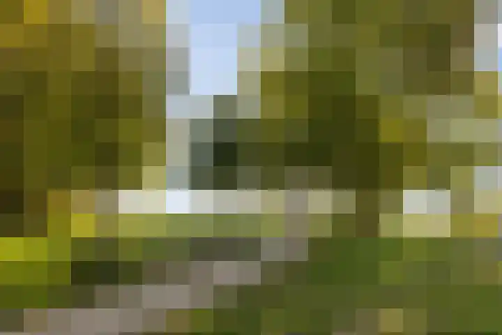 Kruisbroedershof 23 's-Hertogenbosch thumbnail 43