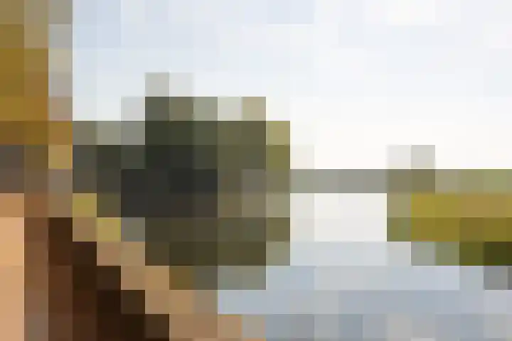 Kruisbroedershof 23 's-Hertogenbosch thumbnail 44