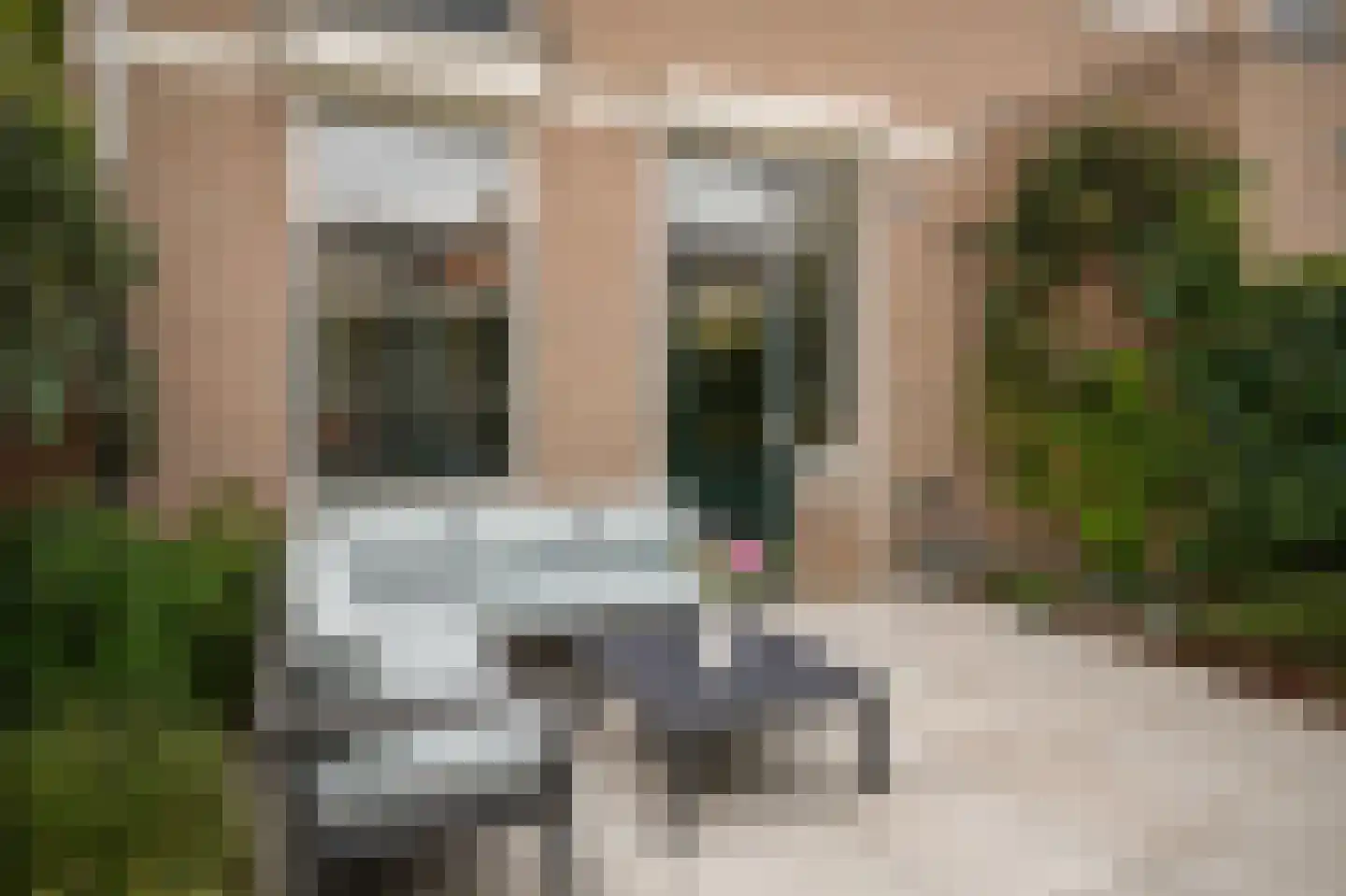 Kruisbroedershof 3 's-Hertogenbosch thumbnail 12
