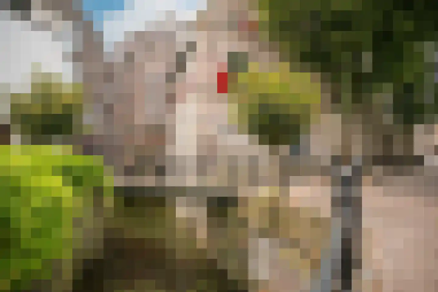 Kruisbroedershof 3 's-Hertogenbosch thumbnail 31