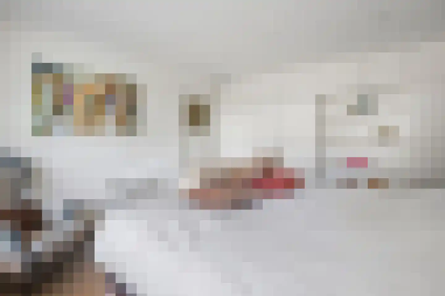Kruisbroedershof 37 's-Hertogenbosch thumbnail 25