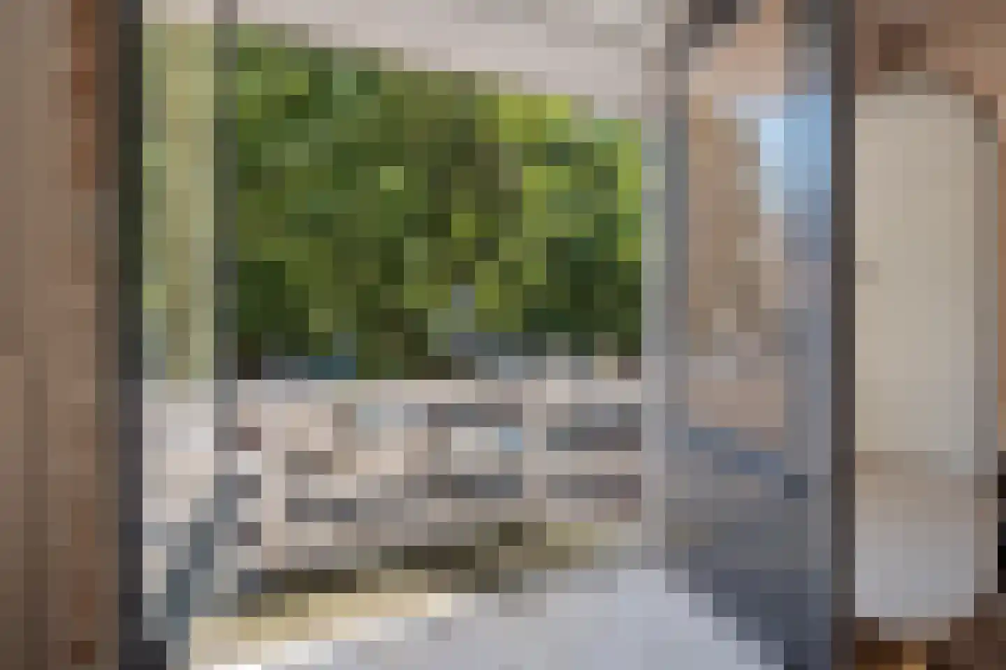 Kruisbroedershof 37 's-Hertogenbosch thumbnail 28