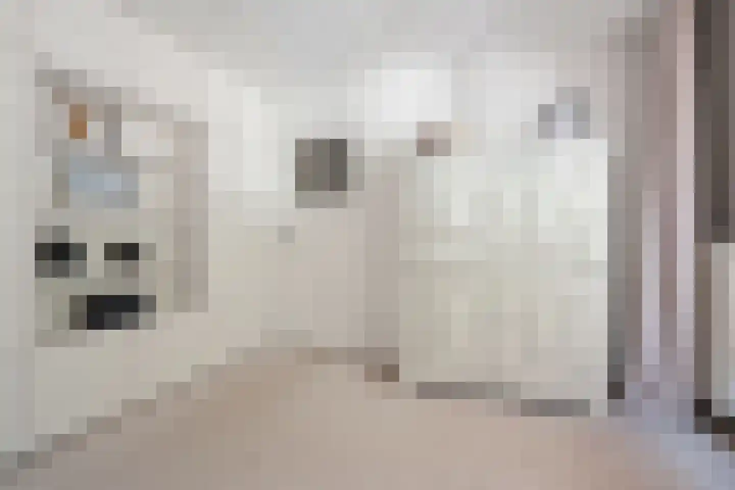 Kruisbroedershof 37 's-Hertogenbosch thumbnail 30
