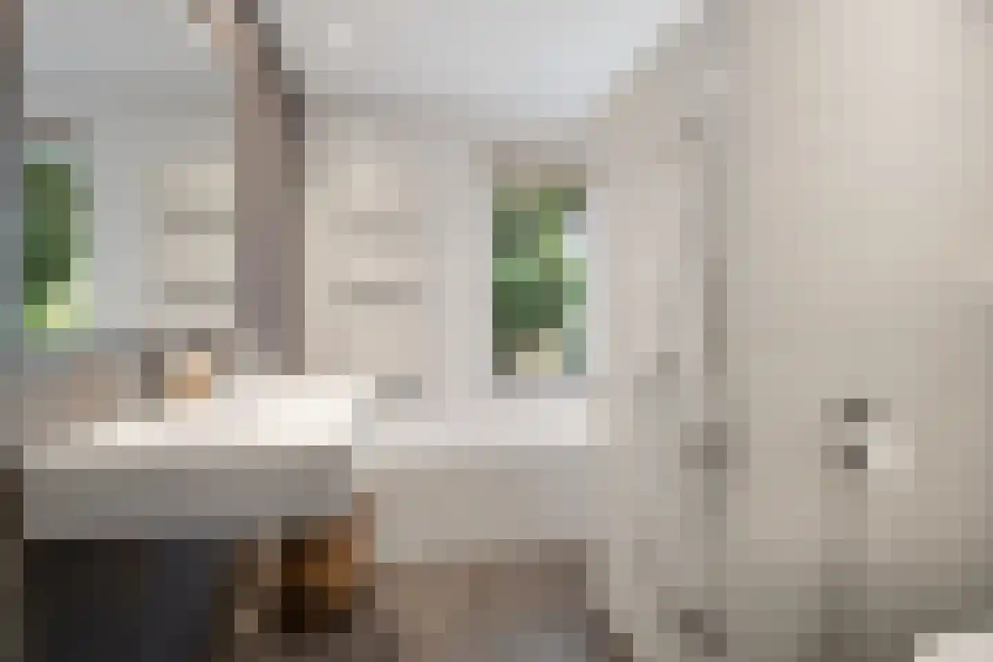Kruisbroedershof 37 's-Hertogenbosch thumbnail 33