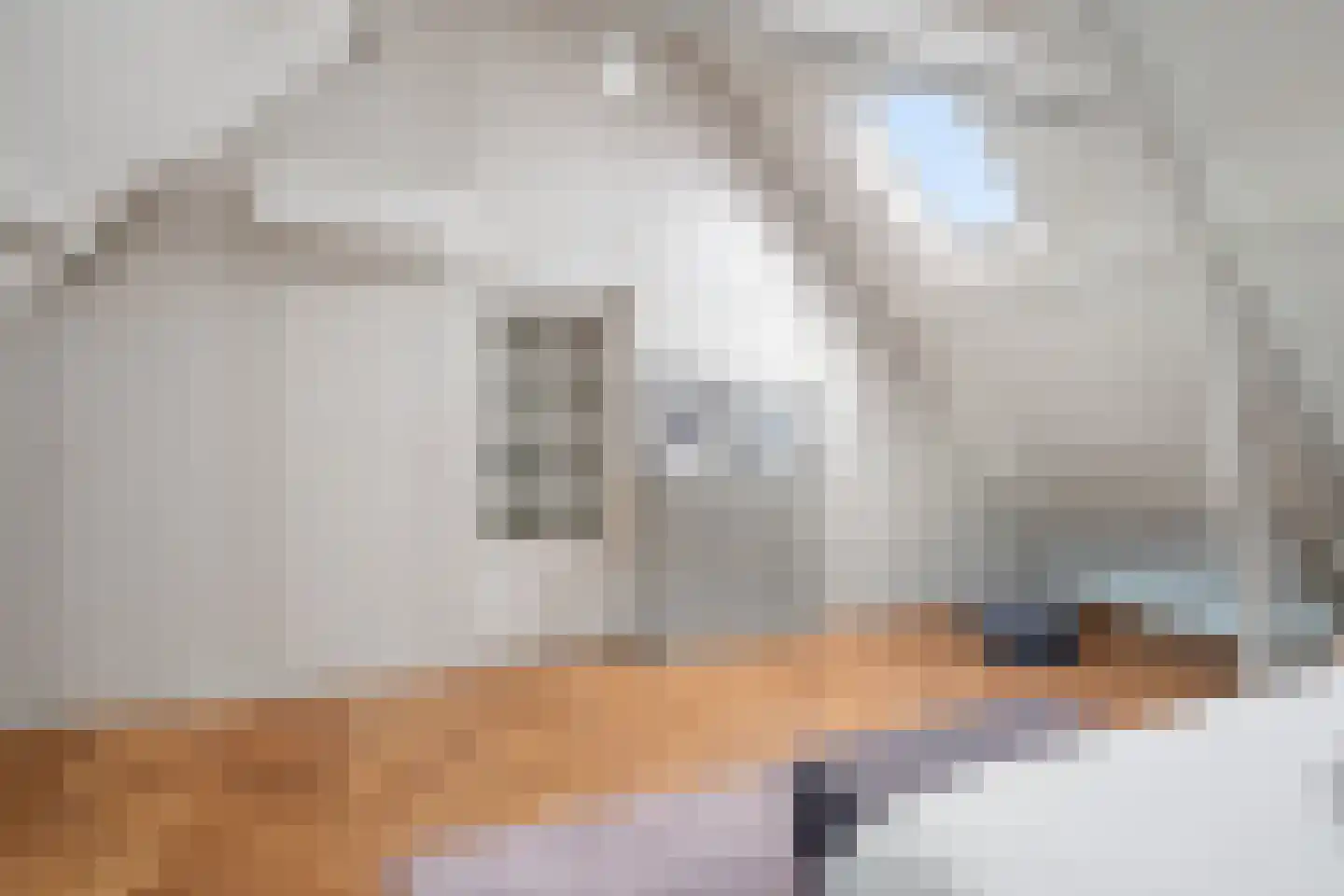 Kruisbroedershof 37 's-Hertogenbosch thumbnail 40