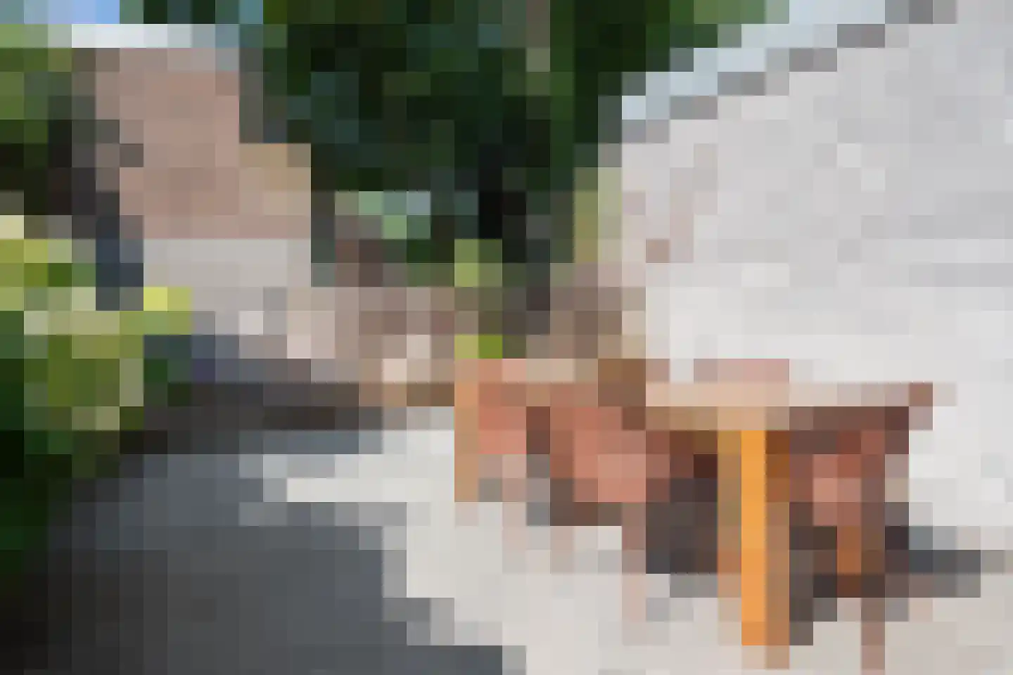 Kruisbroedershof 37 's-Hertogenbosch thumbnail 41