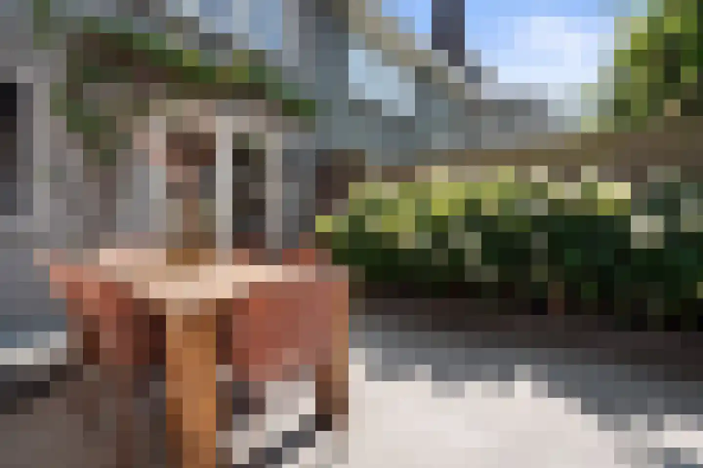 Kruisbroedershof 37 's-Hertogenbosch thumbnail 42