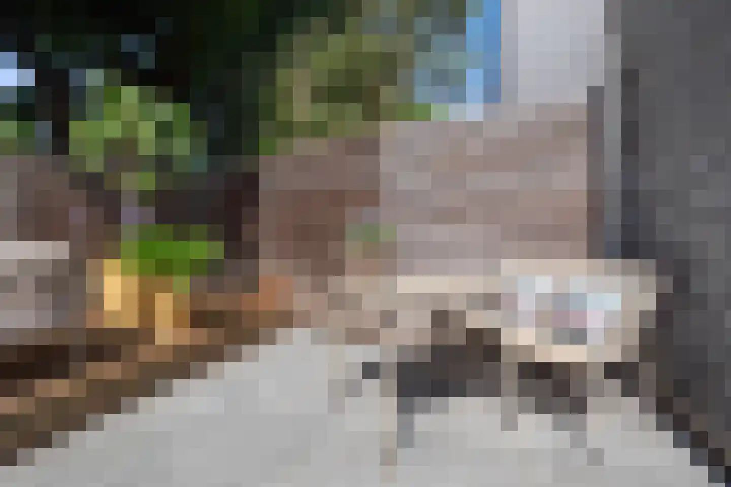 Kruisbroedershof 37 's-Hertogenbosch thumbnail 44